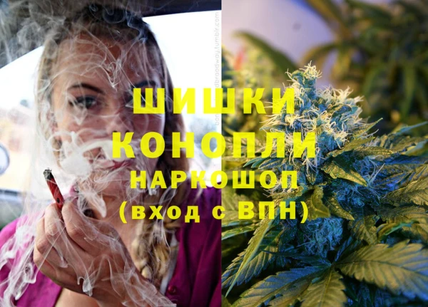 шишки Навашино
