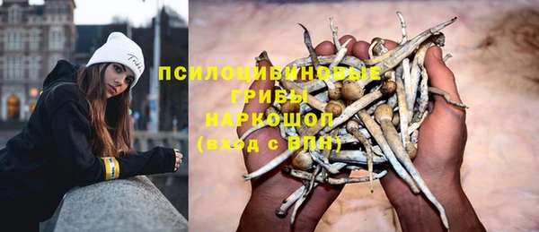 шишки Навашино